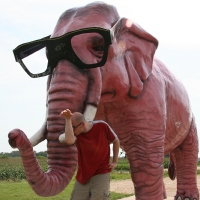 elephant_002.jpg