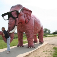 elephant_003.jpg