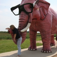 elephant_004.jpg