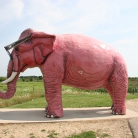 elephant_005.jpg
