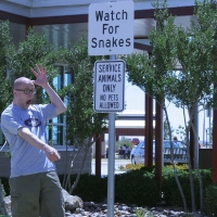 roadTrip_002.jpg