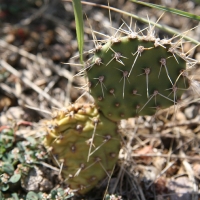 roadTrip_011.jpg