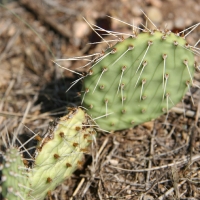 roadTrip_012.jpg