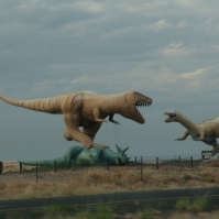 roadTrip_040.jpg