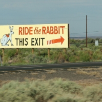 roadTrip_047.jpg