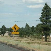 roadTrip_052.jpg