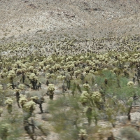 roadTrip_068.jpg