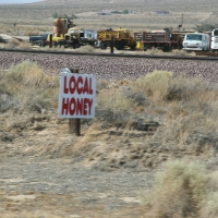 roadTrip_073.jpg