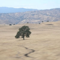roadTrip_086.jpg