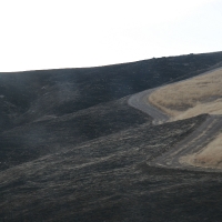 roadTrip_087.jpg