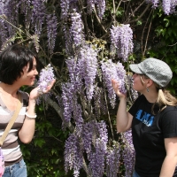 skywalkerRanch_029.jpg