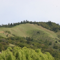 skywalkerRanch_030.jpg