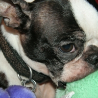 thanksgiving06_012.jpg