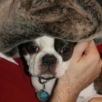 thanksgiving06_034.jpg