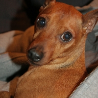 thanksgiving06_048.jpg
