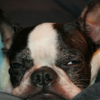 thanksgiving06_050.jpg