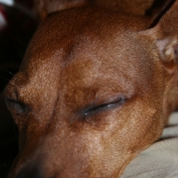 thanksgiving06_053.jpg