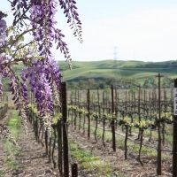 wineryTour_024.jpg