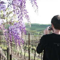wineryTour_025.jpg