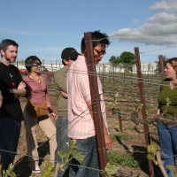 wineryTour_032.jpg